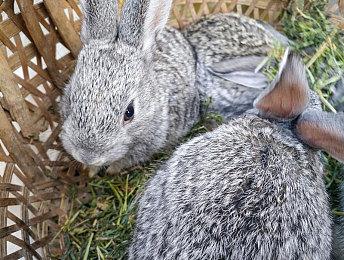 《龙腾世纪》前创意总监新作《永恒之线》新实机预告